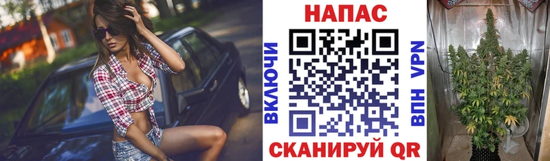 Сколько стоит Почеп Конопля  КОКАИН  Галлюциногенные грибы  ГАШИШ 