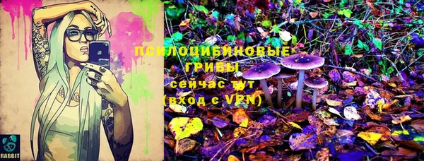 спиды Ростов