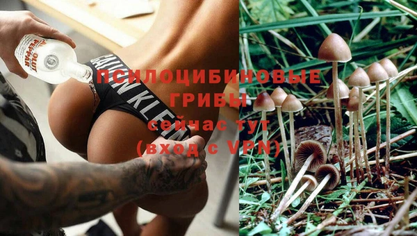 MDMA Premium VHQ Армянск